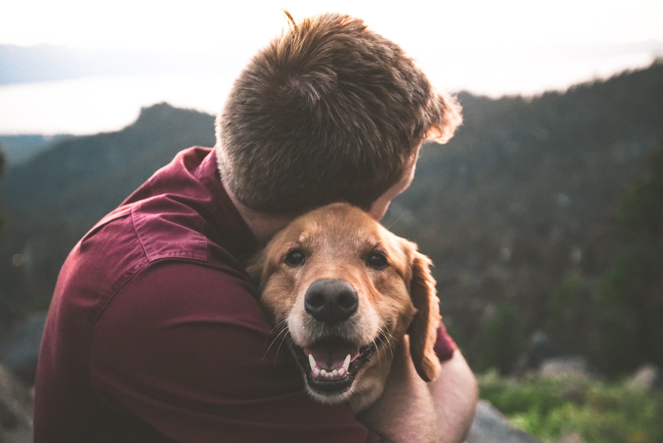 The Pet Effect - How pets are good for your mental health